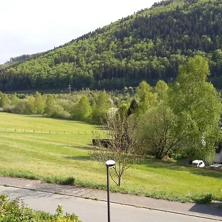 Appartement Niedersfeld Polzweg Winterberg