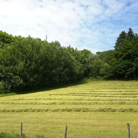 Niedersfeld Polzweg アパート *