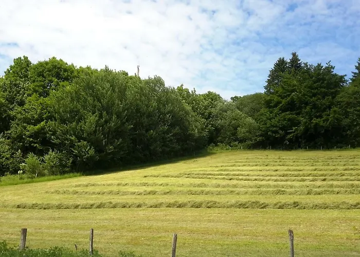 Niedersfeld Polzweg Lägenhet *