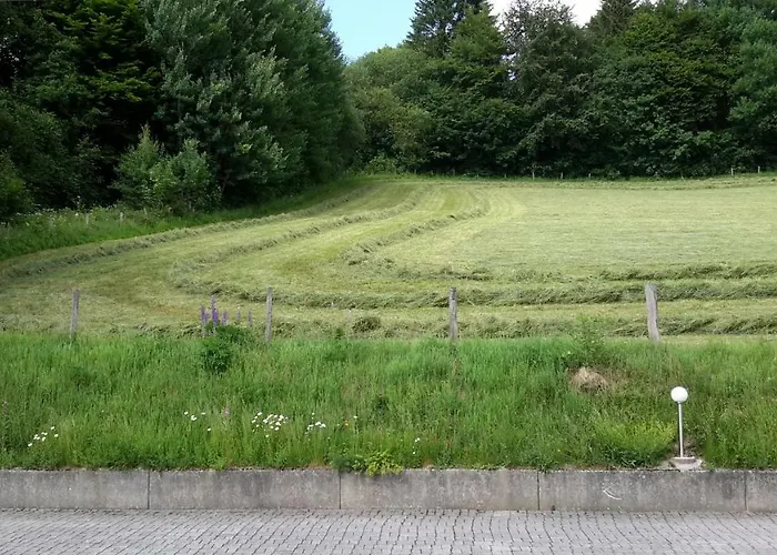 Niedersfeld Polzweg